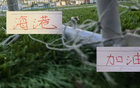 海港8月拿下13分 ！ 联赛还剩5轮，还有冲刺第二的可能性