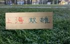 足协杯的比赛!海港能击败泰山 申花会继续三杀大连英博吗 足协杯的比赛!海港能击败泰山 申花会继续三杀大连英博吗